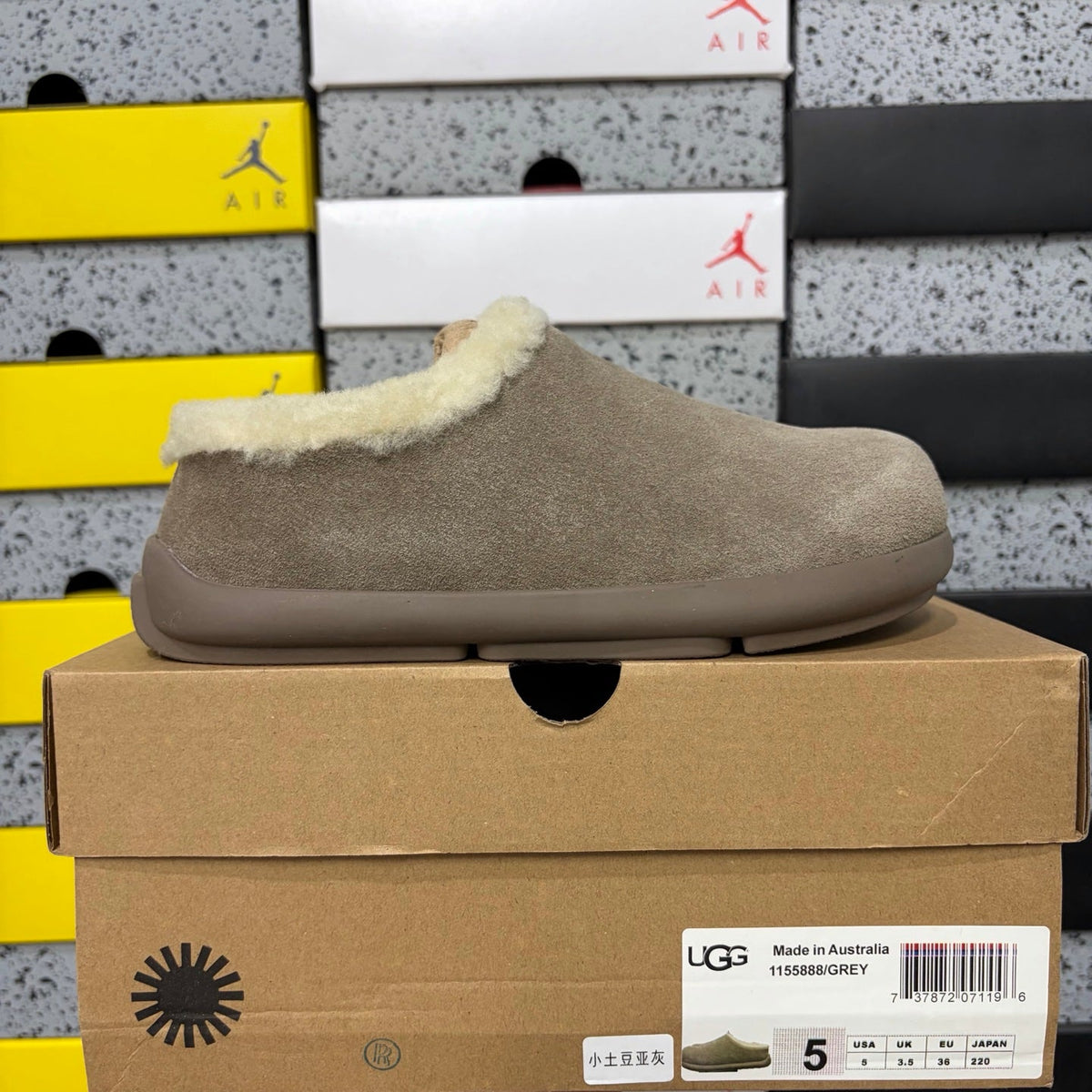 UGG Tasman Slipper – Unisex Wool-Lined Suede Moccasin in Desert Sand